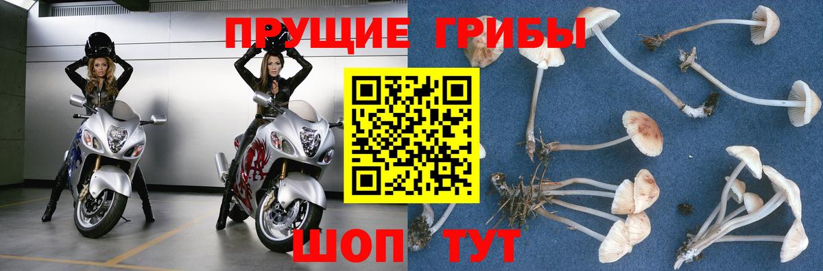 Героин Фролово